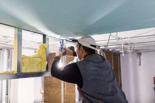 Best Soundproof Insulation Installation  in Plano, IL