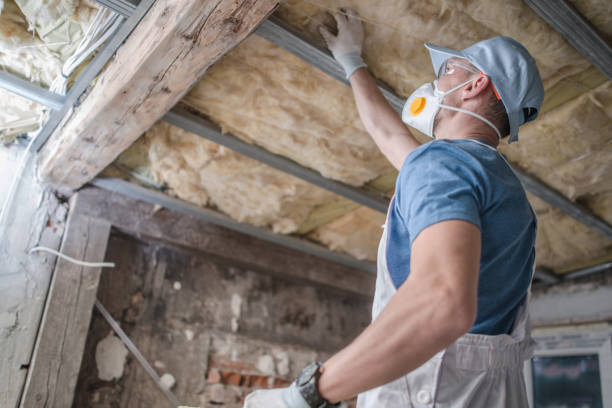 Best Insulation for New Construction  in Plano, IL