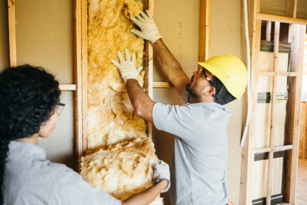 Insulation Replacement Services