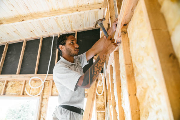 Best Local Insulation Services  in Plano, IL