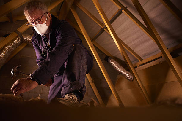 Best Insulation Repair Services  in Plano, IL