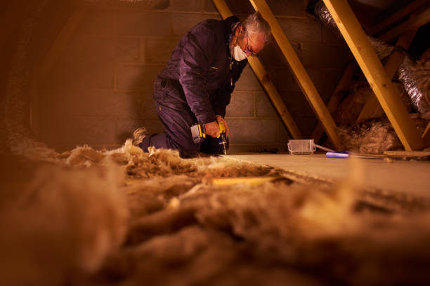 Best Insulation Repair Services  in Plano, IL