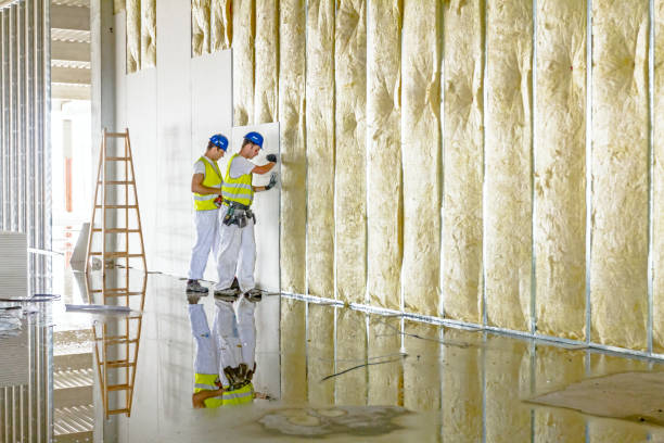 Best Blown-in Insulation  in Plano, IL